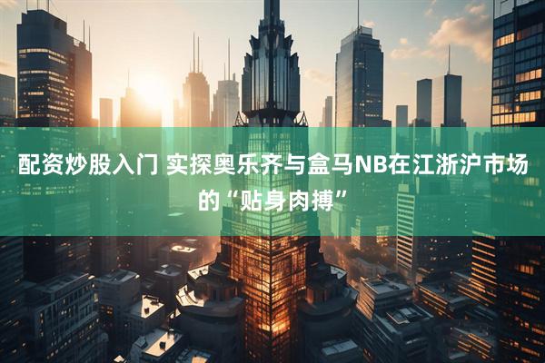 配资炒股入门 实探奥乐齐与盒马NB在江浙沪市场的“贴身肉搏”