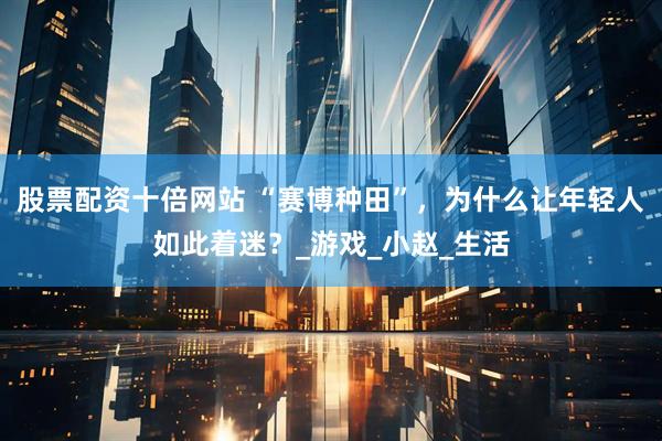股票配资十倍网站 “赛博种田”，为什么让年轻人如此着迷？_游戏_小赵_生活