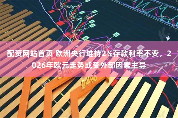 配资网站首页 欧洲央行维持2%存款利率不变，2026年欧元走势或受外部因素主导